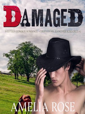 cover image of Damaged